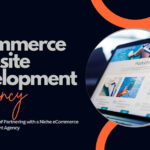 eCommerce Website Development